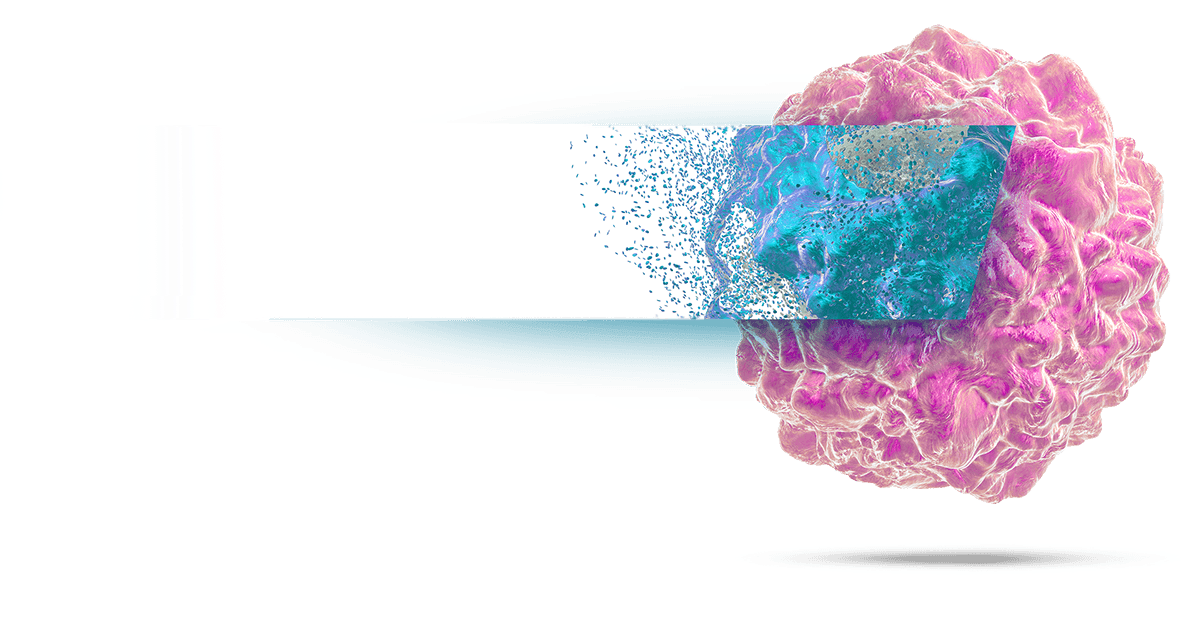 cell xray